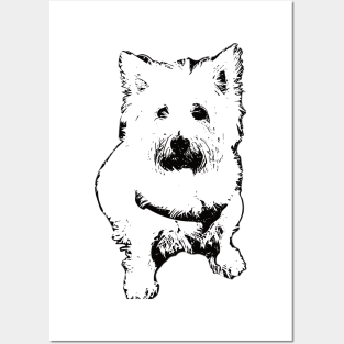 West Highland White Terrier Face Design - A Westie Christmas Gift Posters and Art